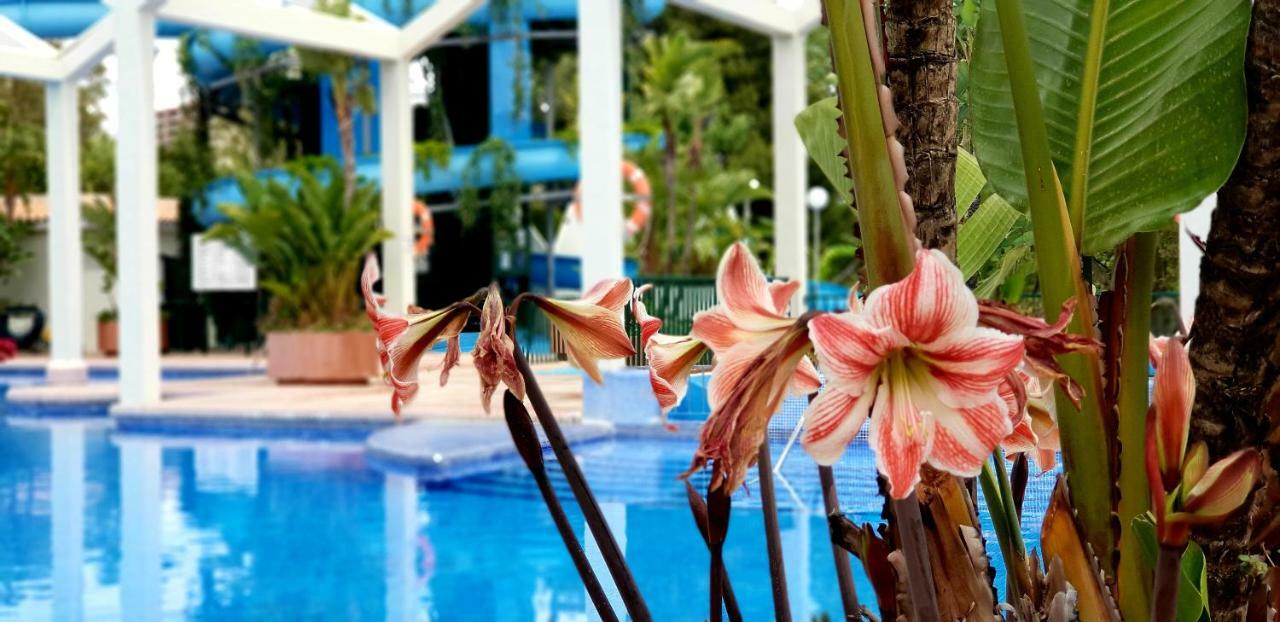 Estudio Deluxe Benalbeach Benalmádena