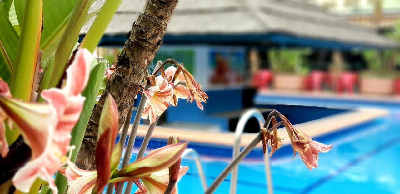 Estudio Deluxe Benalbeach Apartamento